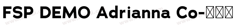 FSP DEMO Adrianna Co字体转换